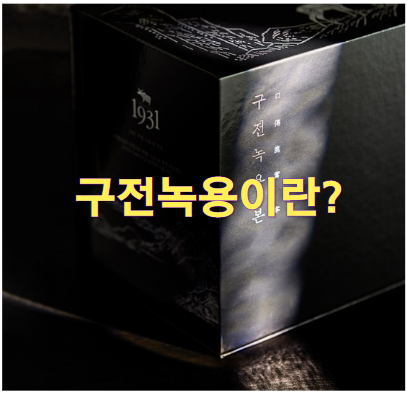 구전녹용 효능과 구매 팁, 이거 하나로 건강 챙기자