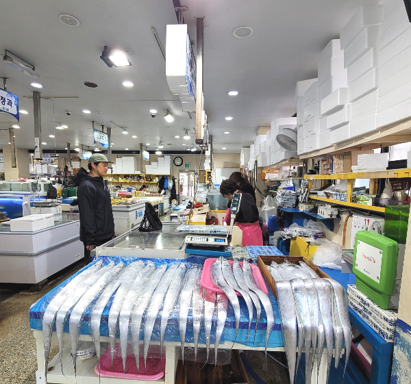 제주시수협어시장 다양한 수산물