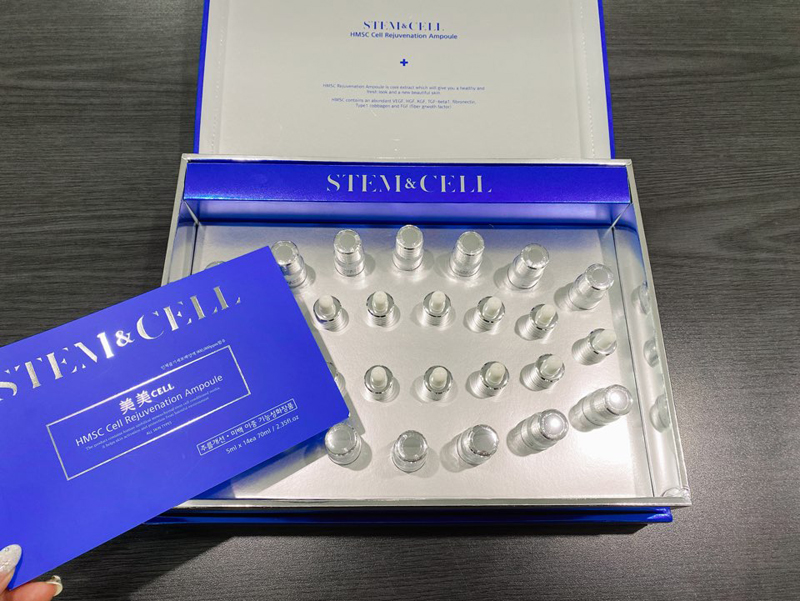 스템앤셀 가격 효능 사용 후기