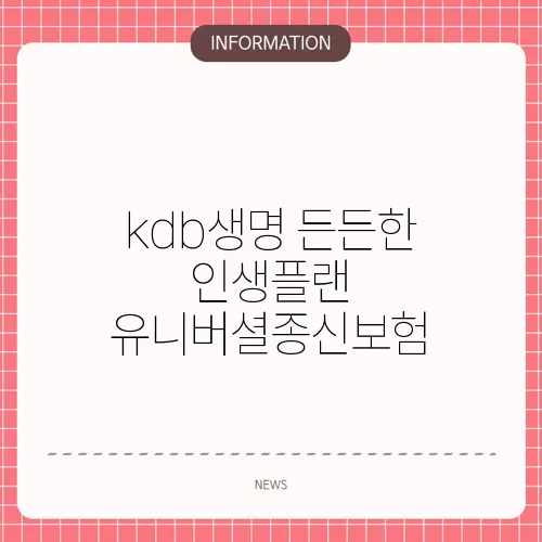 kdb생명 든든한 인생플랜 유니버셜종신보험