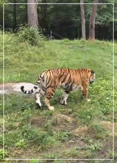 대전 가볼만한곳 베스트10 대전오월드