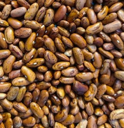 손발이 차가울때 먹는 음식