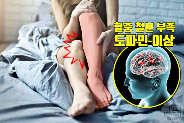 다리에 벌레 기어가는 느낌 하지불안증후군 원인 철분