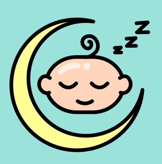 아기의 성장과정