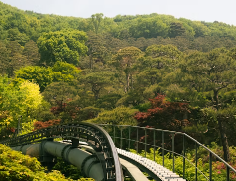 모노레일 지나가는 길