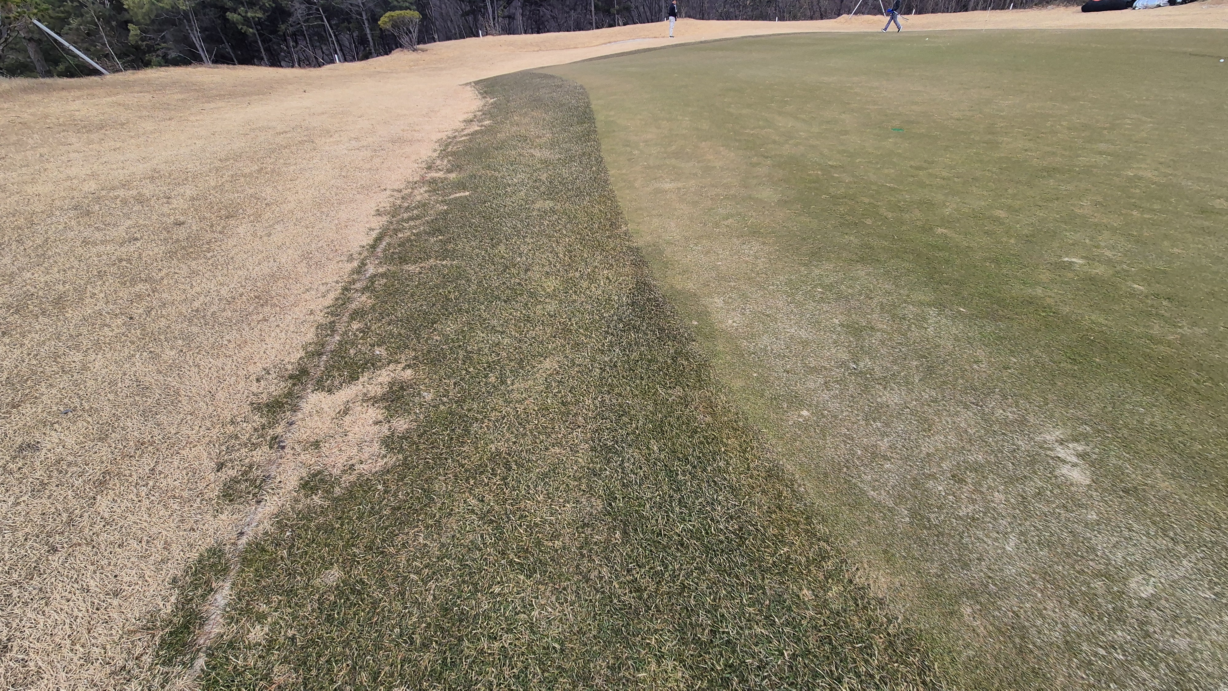 모나크cc 라운드 후기 그린관리상태