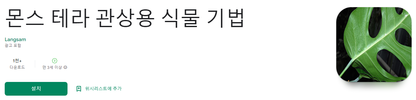 몬스 테라 관상용 식물 기법