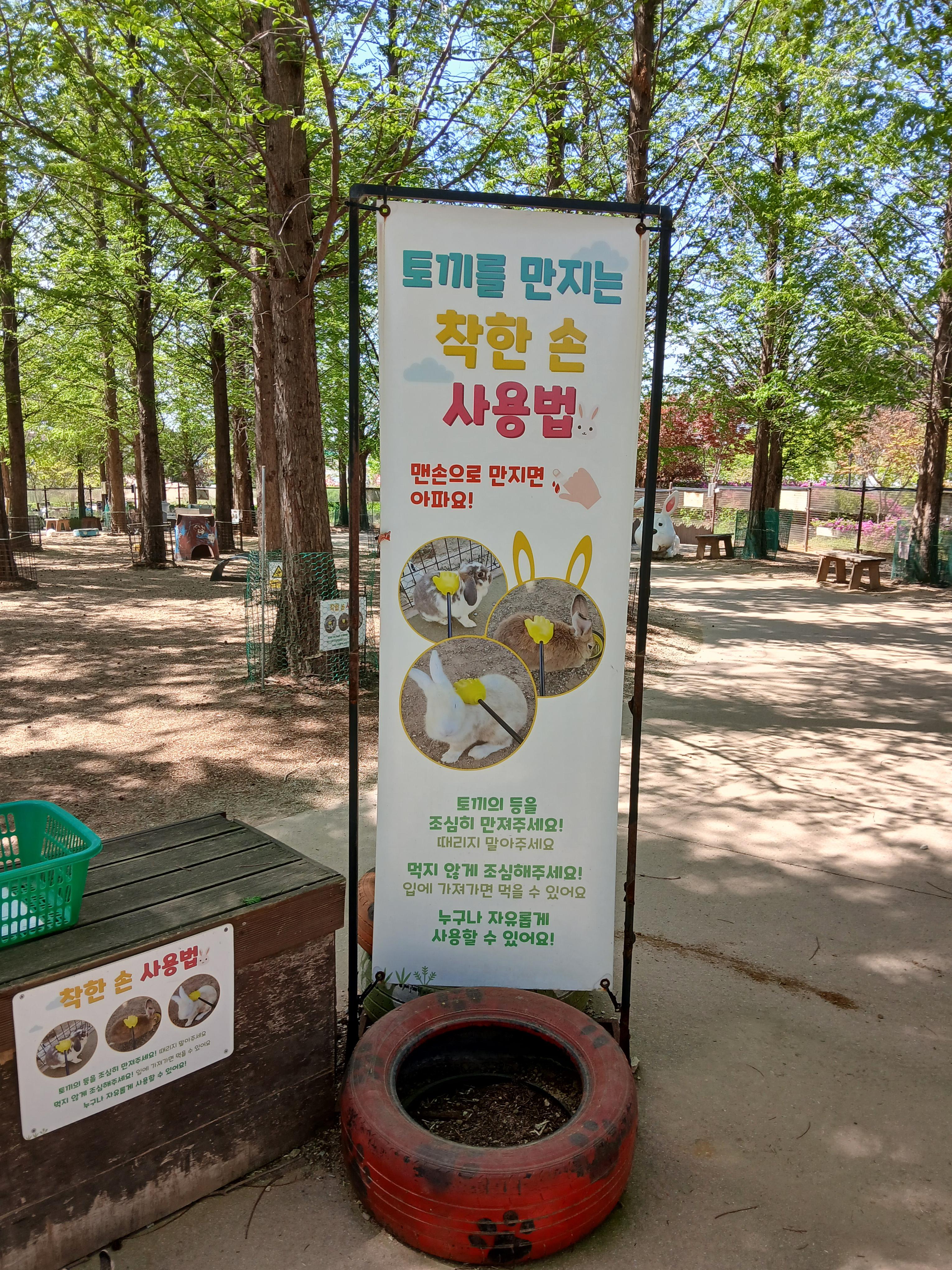 호기심 자극하는 토끼 만져보기 체험