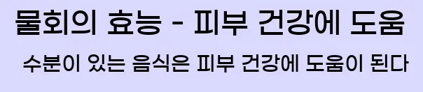  ■ 물회의 효능 - 피부 건강에 도움 수분이 있는 음식은 피부 건강에 도움이 된다.