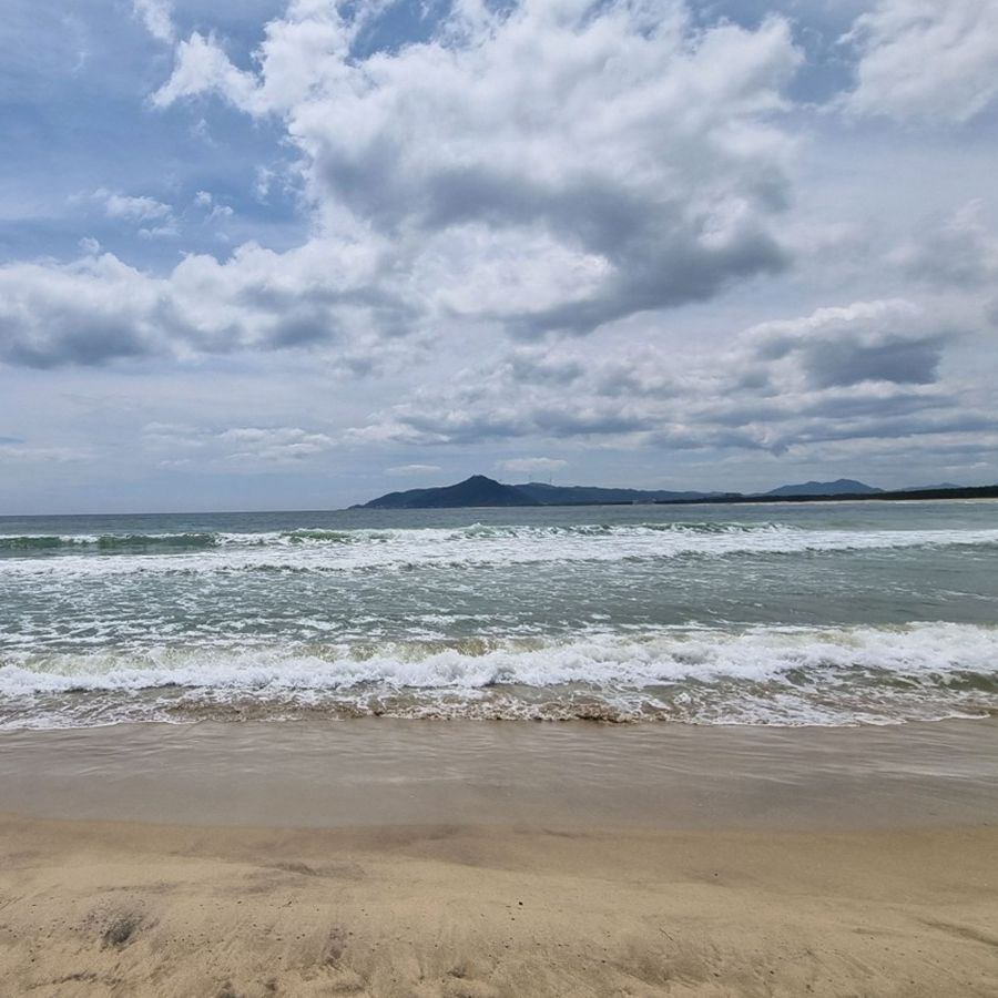 고래불해수욕장