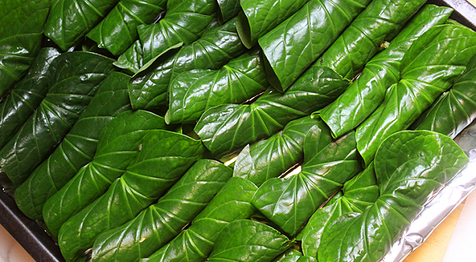 깻잎 다이어트 방법