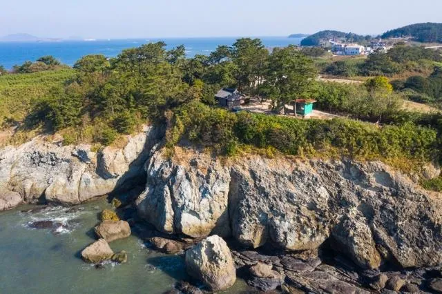 부안 수성당 유채꽃 히든스팟 개화시기_1