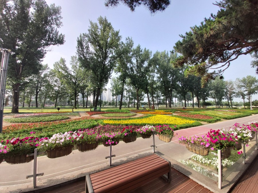 증평 동네별 세부 분석 — 실제 거주 기준으로 보는 “작은 도시 안의 생활권 차이”