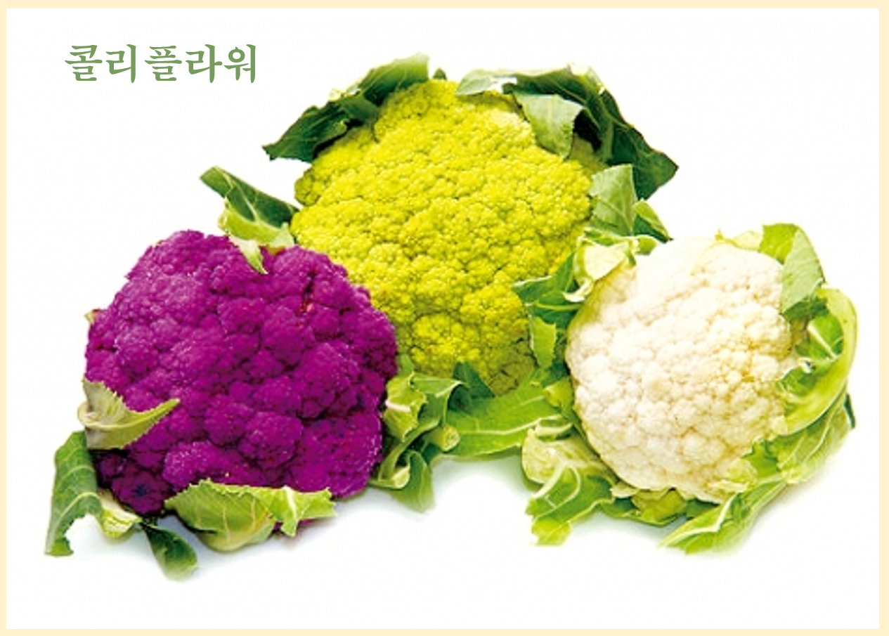 콜리플라워를 활용한 맛있고 건강한 요리법