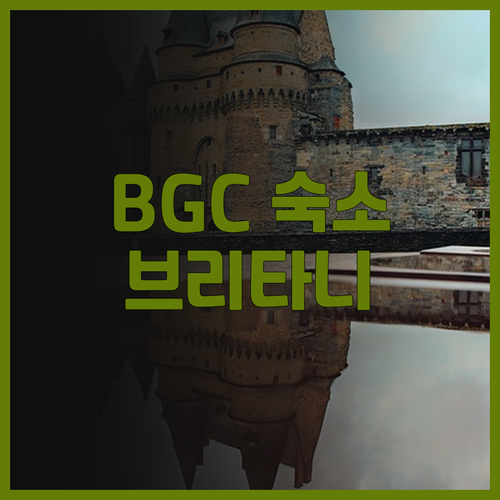 브리타니 호텔 BGC 숙박 후기 4성