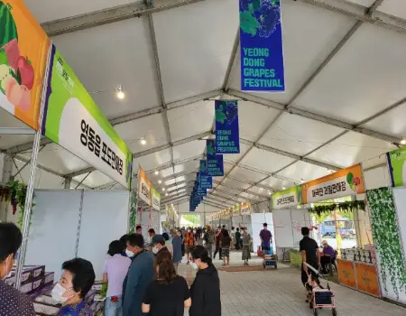 영동포도축제_13