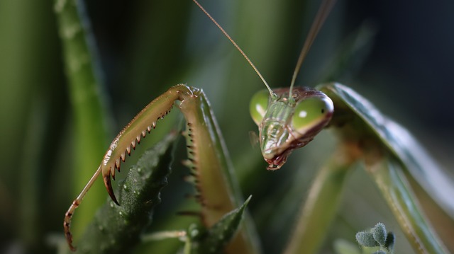 곤충 식품 스타트업의 성공 사례