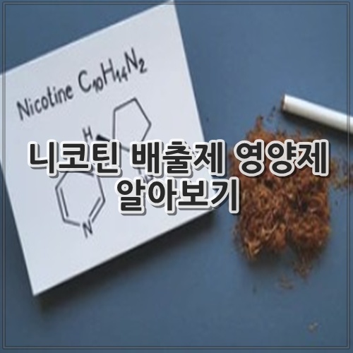 니코틴 배출제 영양제 알아보기