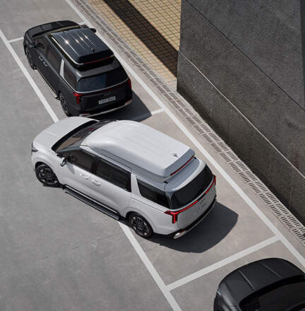 카니발 하이리무진 2