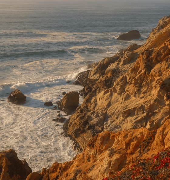 실손보험 청구 전산화