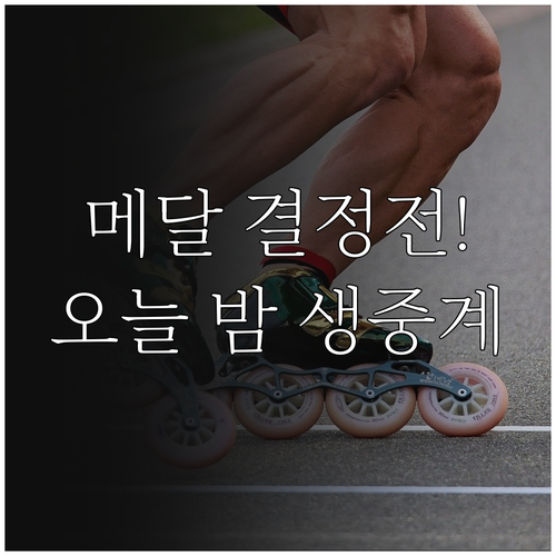대한민국 스피드스케이팅 500m 메달..