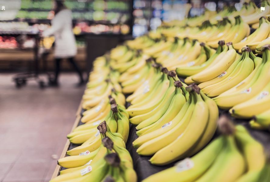 민생지원금2차_신청방법_경제