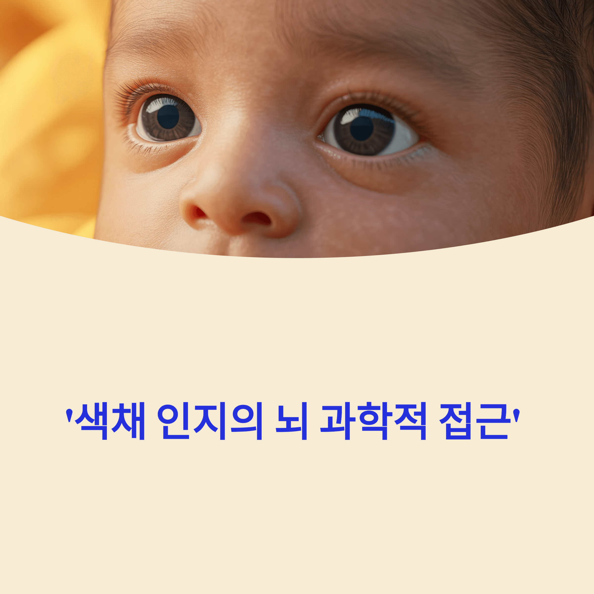 2025 '색채 인지의 뇌 과학적 접근'