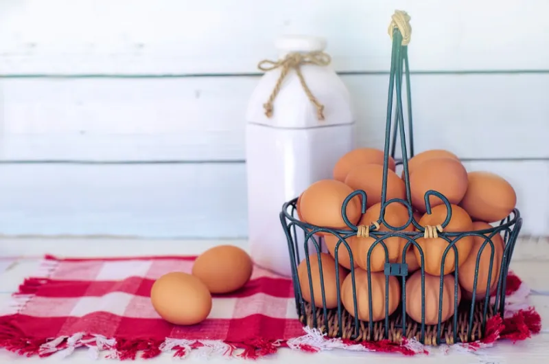 철제 바구니에 담긴 달걀들