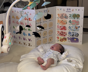 2026 인구정책 쉽게 정리｜저출생 대응 정책 왜 바뀌고 무엇이 달라질까