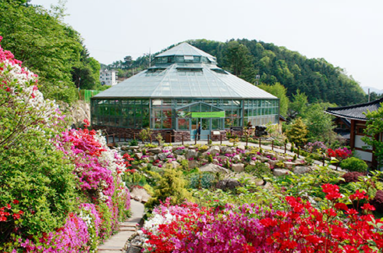 아침고요 수목원
