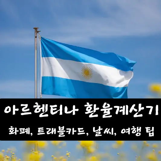 아르헨티나 환율 계산기 환전 방법 트래블 카드