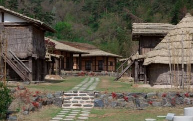 '100억송이' 가을꽃