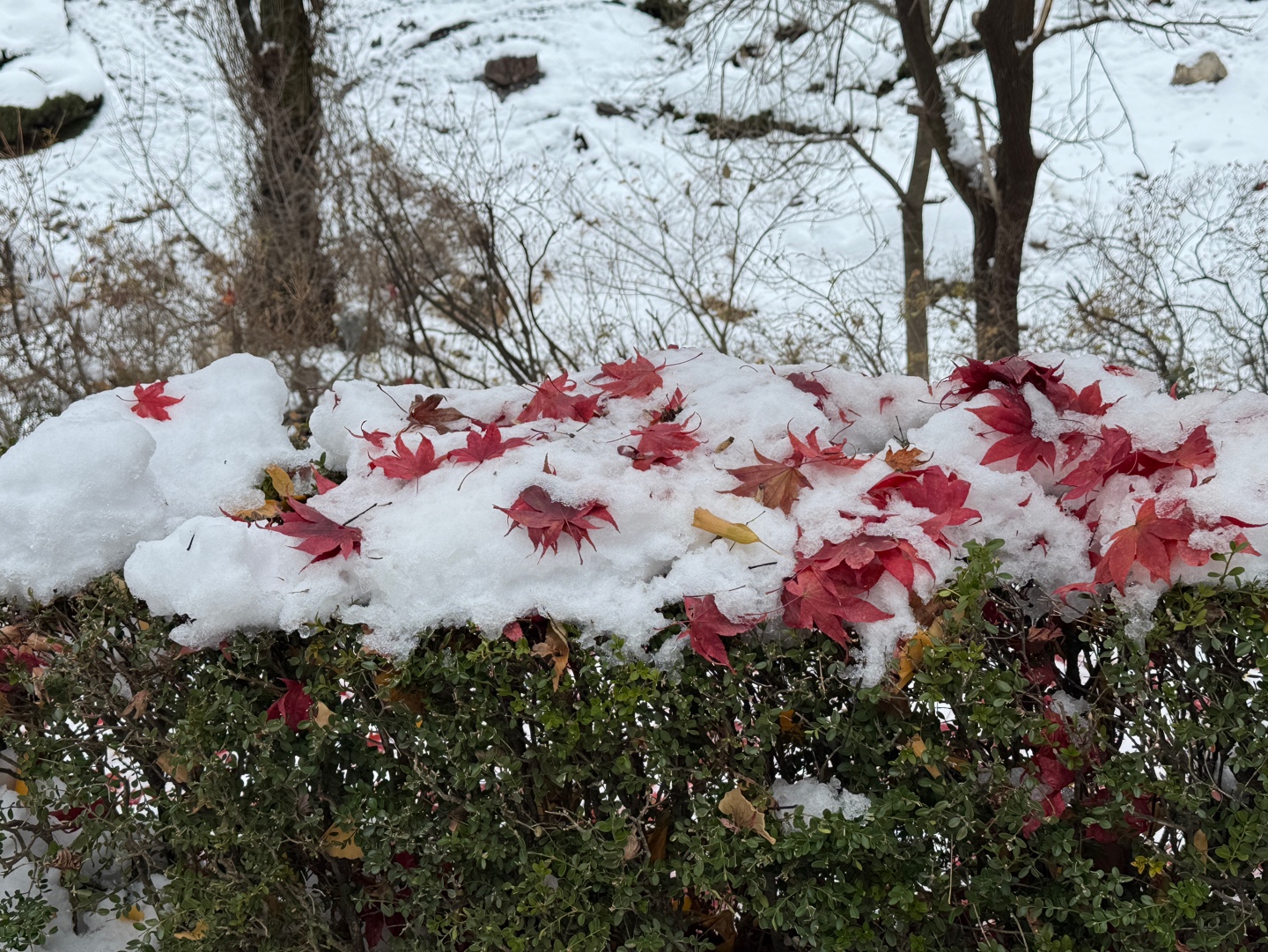 국립현대미술관