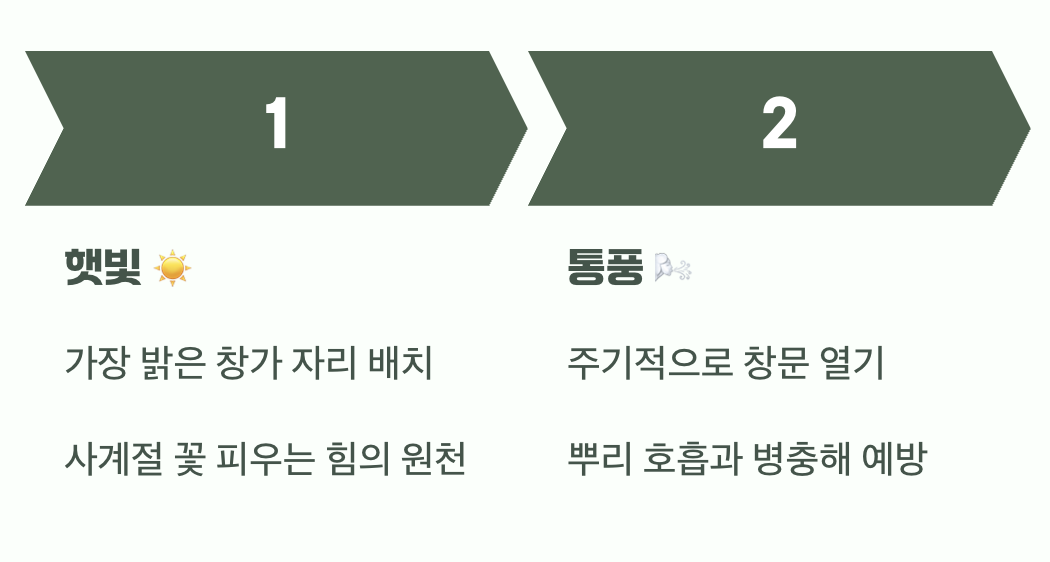 햇빛은 최고의 보약, 통풍은 필수