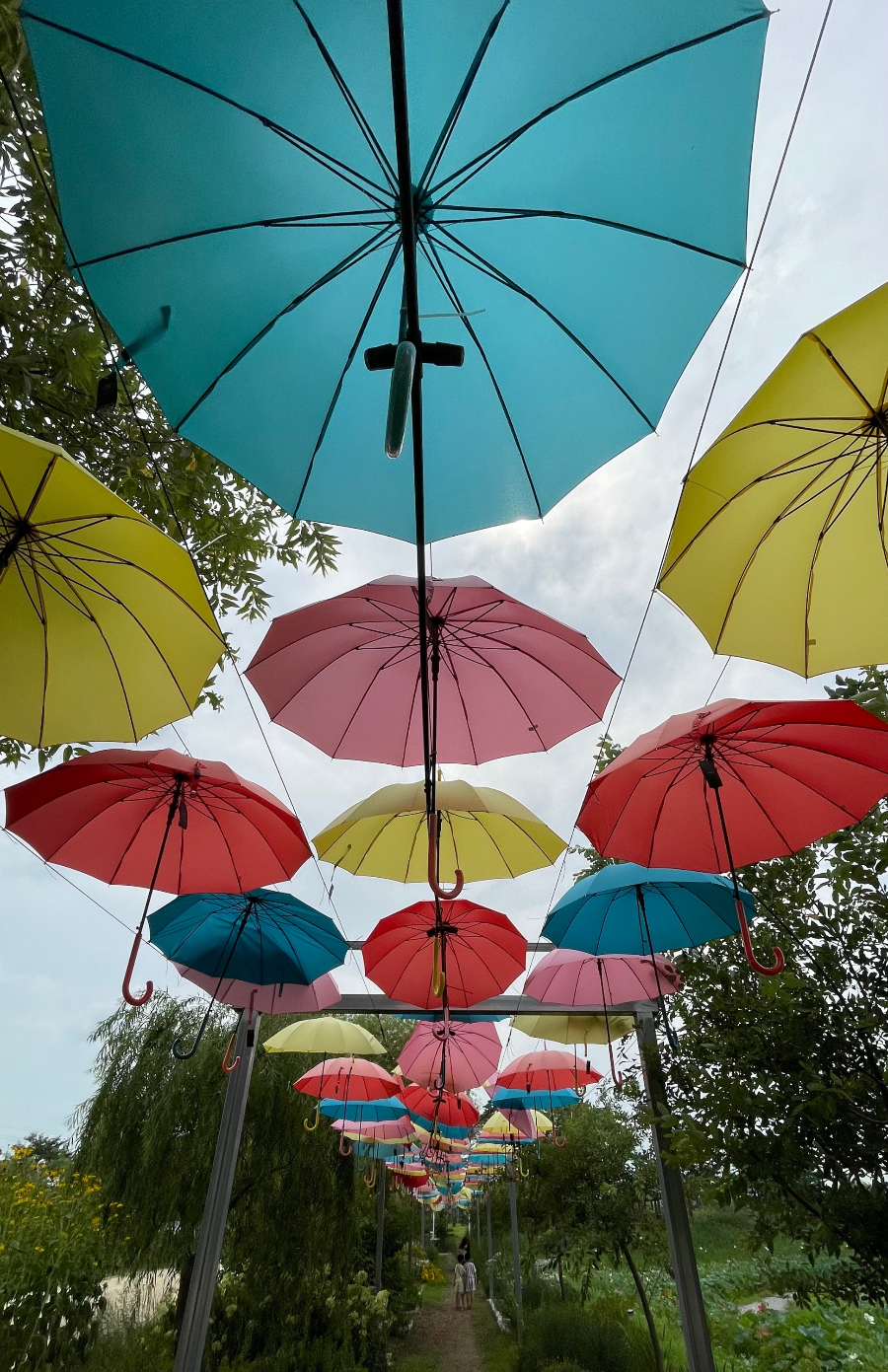 합덕제 수변공원