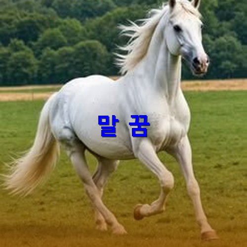흰-말이-초원을-여유롭게-뛰어다니는-모습