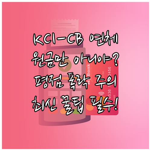 KCI와 CB사 연체 기준 차이 원금..