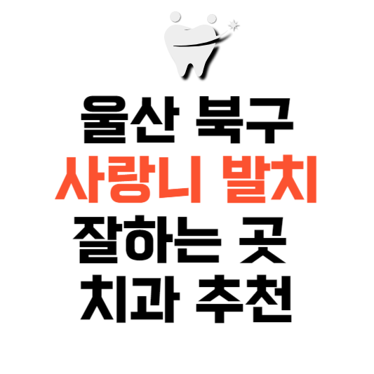 울산 북구 사랑니 치과 발치 잘하는 곳 추천 매복 가격 비용.png