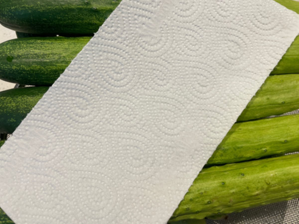 오이지 오이에 남은 물기는 키친 타올로 완전히 제거