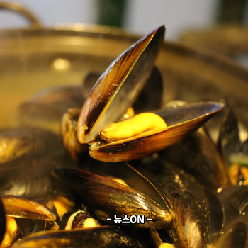 홍합탕 끓이는법