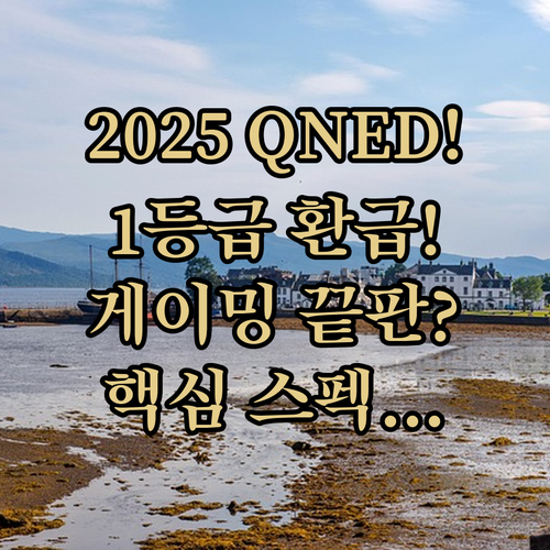 2025년형 LG QNED TV 1등..