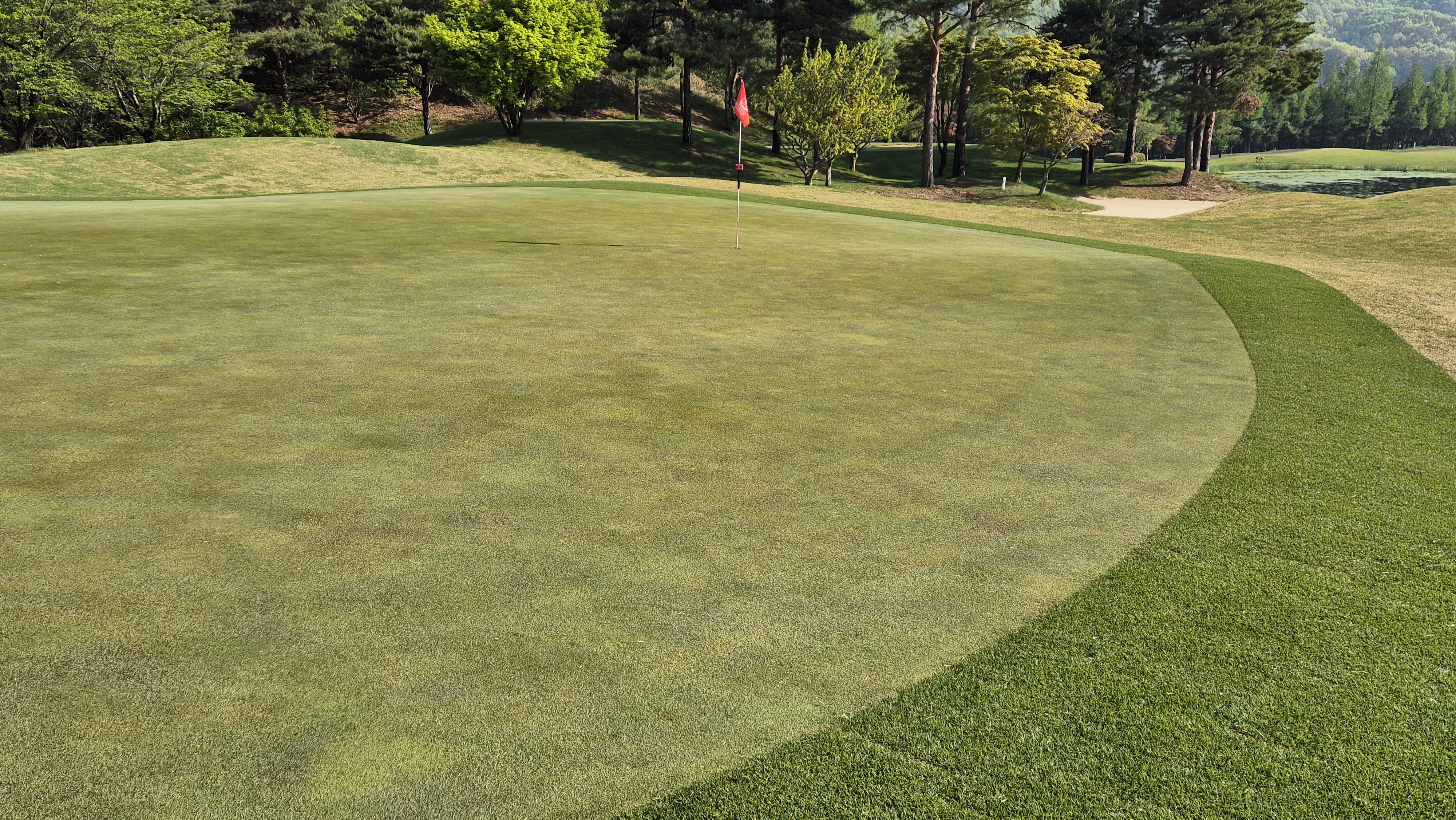 마에스트로cc 라운드 후기