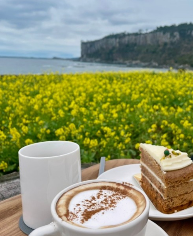 제주 감성 카페