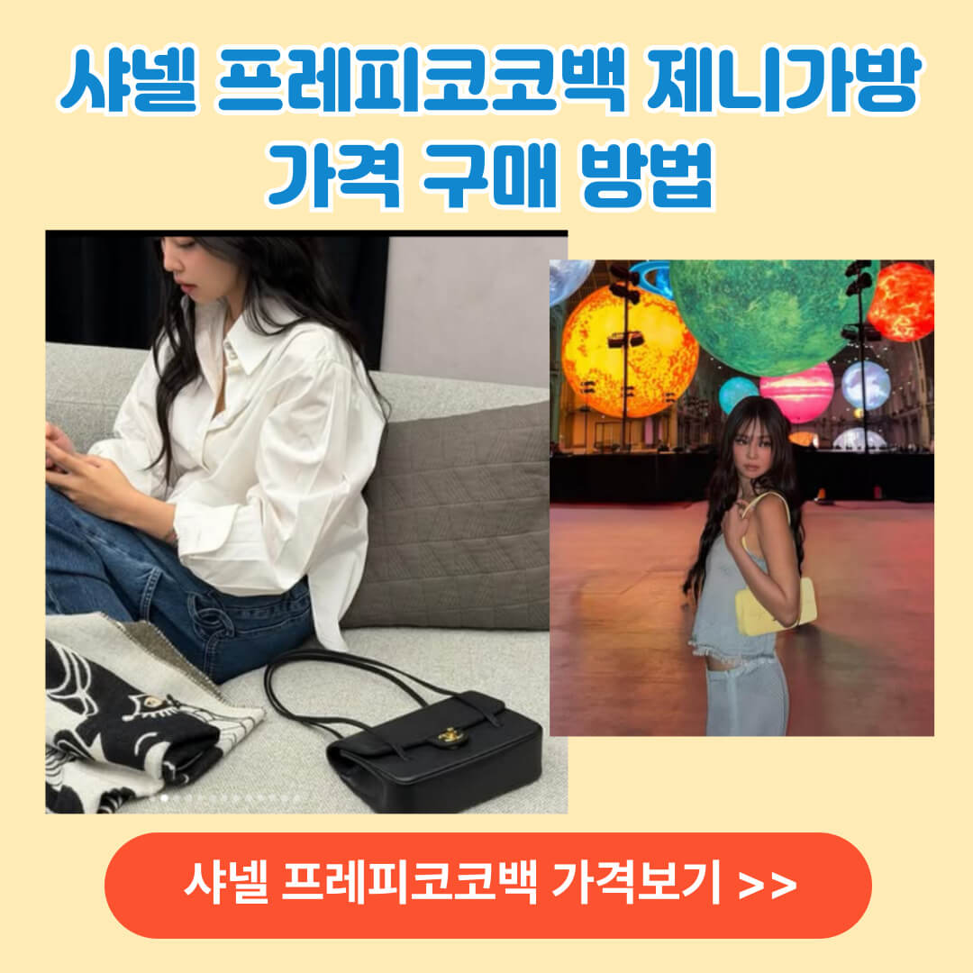 샤넬 프레피코코백 제니 가방 가격 구매 방법 알아보기