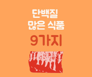 단백질 많은 식품 9가지 고기 그림