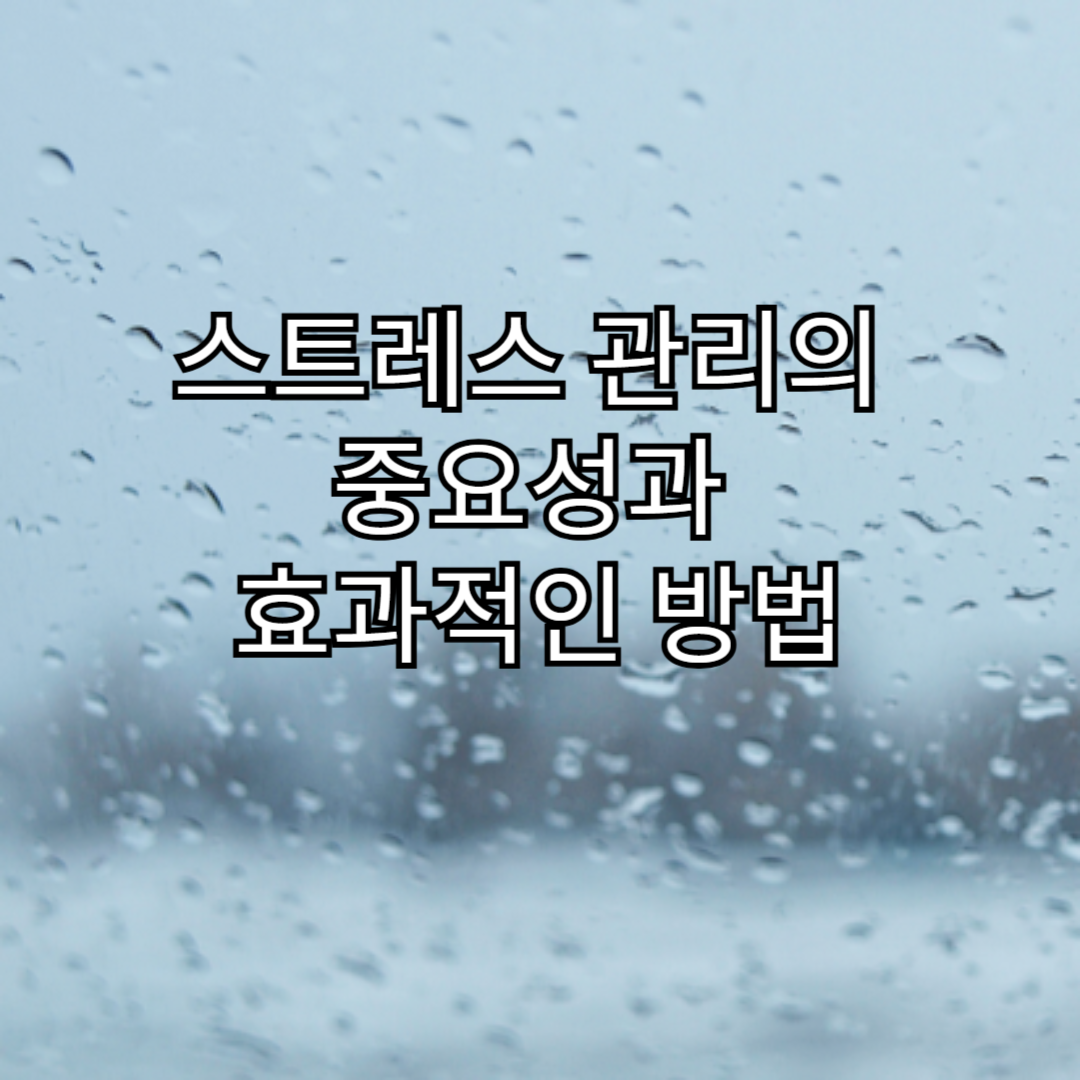 스트레스 관리