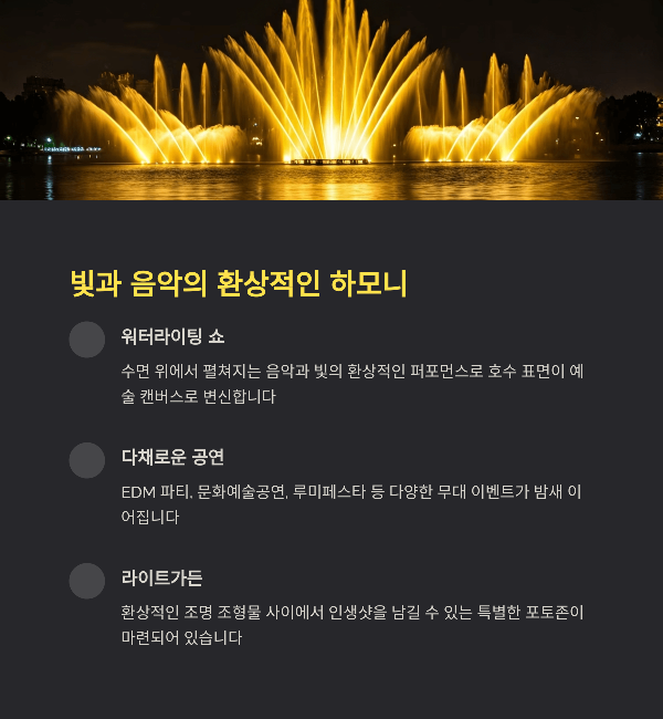 빛과 음악의 환상적인 하모니