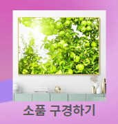 재물운 부르는 인테리어 소품 의미 배치장소 아이템둘러보기