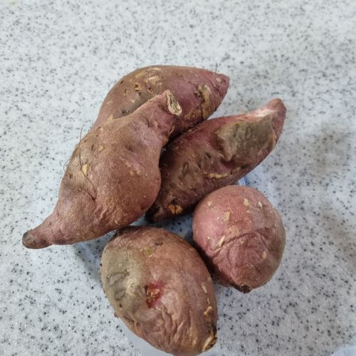 군고구마-완성