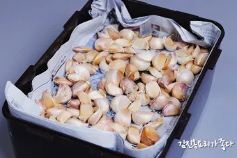 통마늘 지퍼백 보관 효과 오래 보관하는 방법_19